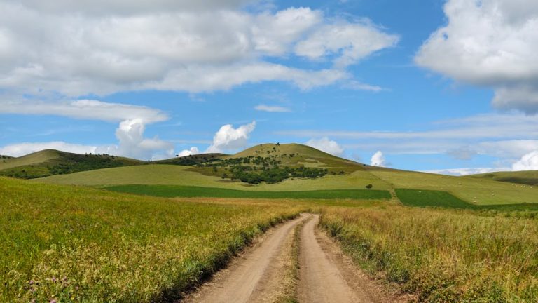 Eco-Friendly Corporate Travel: A Greener Approach to Business Trips